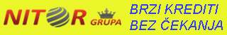 nitor-grupa-320x50-partner